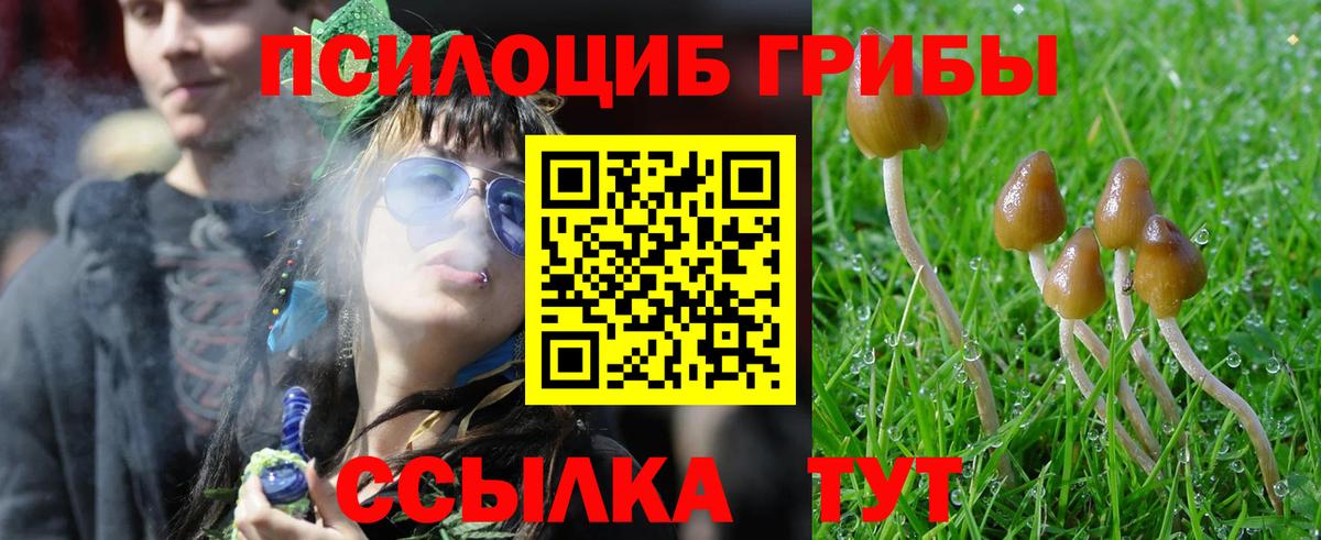 Урус-Мартан  Псилоцибиновые грибы GOLDEN TEACHER  Вход с VPN  Галлюциногенные грибы MAGIC MUSHROOMS 